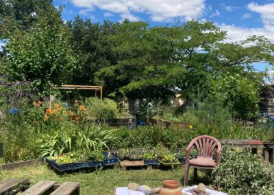 Atelier “Economies d’eau au jardin”